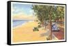 Beach, St. Joseph, Michigan-null-Framed Stretched Canvas