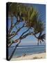 Beach, St. Pierre, Reunion Island, French Overseas Territory-Cindy Miller Hopkins-Stretched Canvas