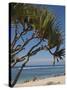 Beach, St. Pierre, Reunion Island, French Overseas Territory-Cindy Miller Hopkins-Stretched Canvas