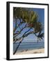 Beach, St. Pierre, Reunion Island, French Overseas Territory-Cindy Miller Hopkins-Framed Premium Photographic Print