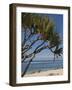 Beach, St. Pierre, Reunion Island, French Overseas Territory-Cindy Miller Hopkins-Framed Photographic Print