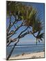 Beach, St. Pierre, Reunion Island, French Overseas Territory-Cindy Miller Hopkins-Mounted Photographic Print
