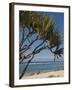 Beach, St. Pierre, Reunion Island, French Overseas Territory-Cindy Miller Hopkins-Framed Photographic Print