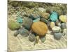Beach Stones-Mark Goodall-Mounted Art Print