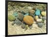 Beach Stones-Mark Goodall-Framed Art Print