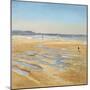 Beach Strollers-Timothy Easton-Mounted Giclee Print