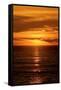 Beach Sunset-Howard Ruby-Framed Stretched Canvas