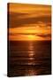 Beach Sunset-Howard Ruby-Stretched Canvas