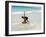 Beach Surfing at Santa Maria on the Island of Sal (Salt), Cape Verde Islands, Africa-R H Productions-Framed Photographic Print