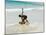 Beach Surfing at Santa Maria on the Island of Sal (Salt), Cape Verde Islands, Africa-R H Productions-Mounted Photographic Print