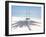 Beach Swing And Shadow of Palm Tree on Sand-null-Framed Photographic Print