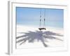 Beach Swing And Shadow of Palm Tree on Sand-null-Framed Photographic Print