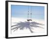 Beach Swing And Shadow of Palm Tree on Sand-null-Framed Photographic Print