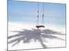 Beach Swing And Shadow of Palm Tree on Sand-null-Mounted Photographic Print