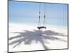 Beach Swing And Shadow of Palm Tree on Sand-null-Mounted Photographic Print