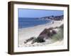 Beach, Tarifa, Andalucia, Spain, Europe-Marco Cristofori-Framed Photographic Print