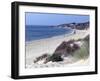 Beach, Tarifa, Andalucia, Spain, Europe-Marco Cristofori-Framed Photographic Print