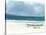 Beach Thalassa, 2015-Lincoln Seligman-Stretched Canvas
