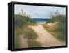 Beach Trail 1-null-Framed Stretched Canvas