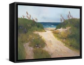 Beach Trail 1-null-Framed Stretched Canvas