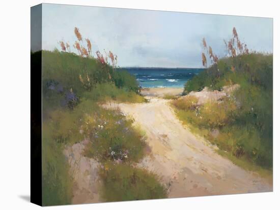 Beach Trail 1-null-Stretched Canvas