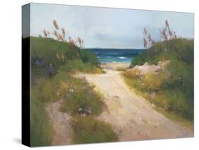 Beach Trail 1-null-Stretched Canvas