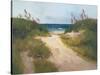 Beach Trail 1-null-Stretched Canvas