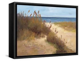 Beach Trail 2-null-Framed Stretched Canvas