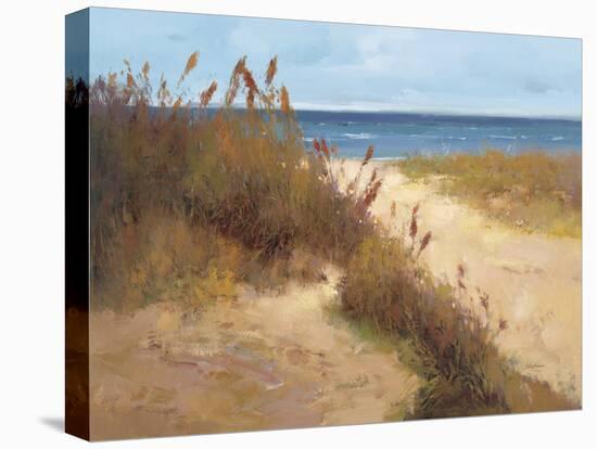 Beach Trail 2-null-Stretched Canvas