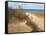 Beach Trail 2-null-Framed Stretched Canvas