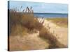 Beach Trail 2-null-Stretched Canvas