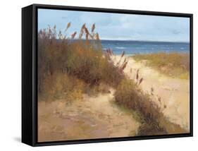 Beach Trail 2-null-Framed Stretched Canvas