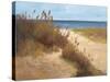 Beach Trail 2-null-Stretched Canvas
