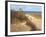 Beach Trail 2-null-Framed Art Print