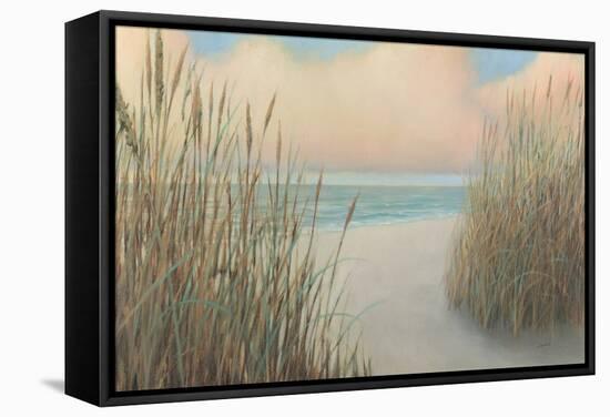 Beach Trail I-James Wiens-Framed Stretched Canvas