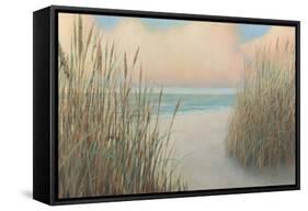 Beach Trail I-James Wiens-Framed Stretched Canvas