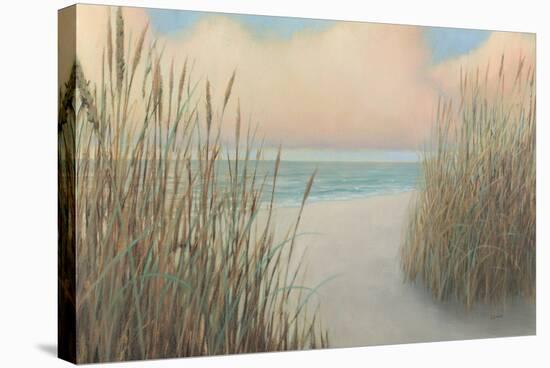 Beach Trail I-James Wiens-Stretched Canvas