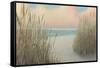 Beach Trail I-James Wiens-Framed Stretched Canvas