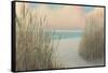 Beach Trail I-James Wiens-Framed Stretched Canvas