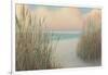 Beach Trail I-James Wiens-Framed Art Print