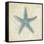 Beach Treasures II-Emily Adams-Framed Stretched Canvas