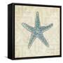 Beach Treasures II-Emily Adams-Framed Stretched Canvas