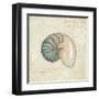 Beach Treasures III-Emily Adams-Framed Art Print