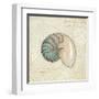 Beach Treasures III-Emily Adams-Framed Art Print