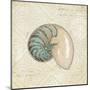 Beach Treasures III-Emily Adams-Mounted Art Print