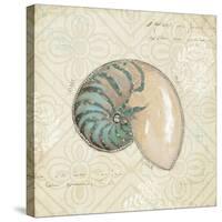 Beach Treasures III-Emily Adams-Stretched Canvas