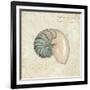 Beach Treasures III-Emily Adams-Framed Art Print