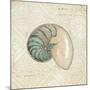 Beach Treasures III-Emily Adams-Mounted Art Print