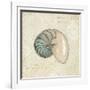 Beach Treasures III-Emily Adams-Framed Art Print