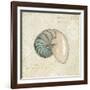 Beach Treasures III-Emily Adams-Framed Art Print